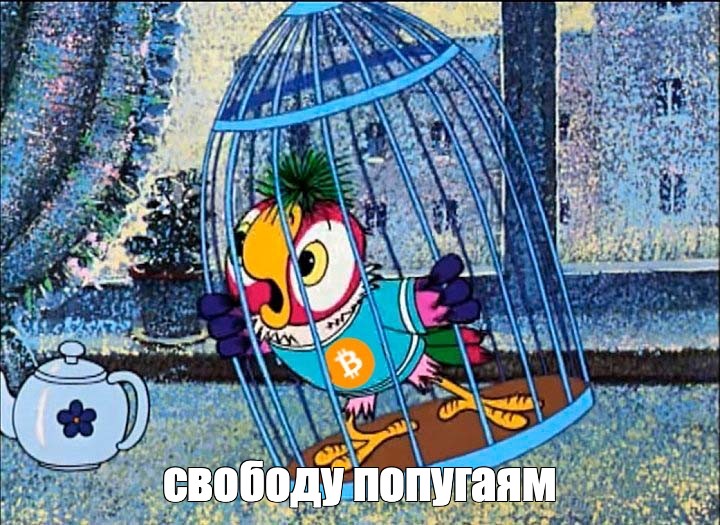 В Геленджике спасли обезьяну и попугая