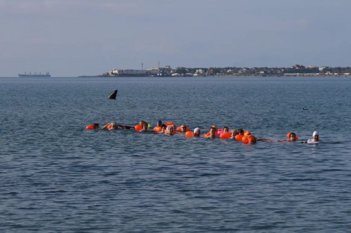 Геленджикские моржи устроят показательный заплыв в море