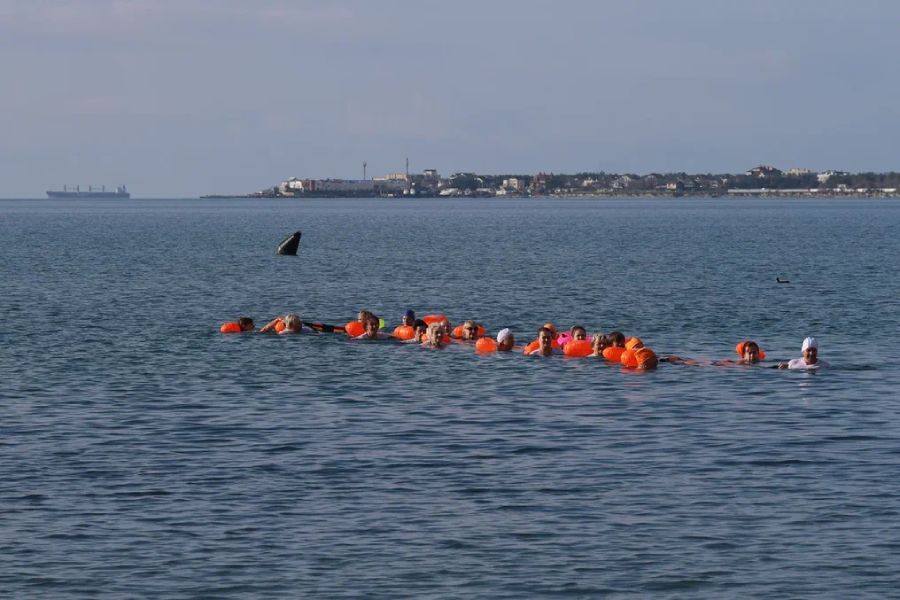 Геленджикские моржи устроят показательный заплыв в море