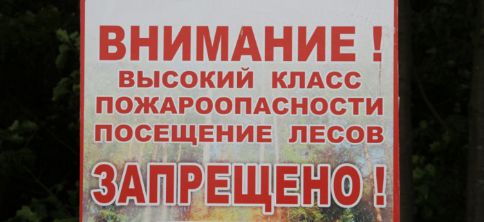 Запрет на посещение лесов и лесопарковых зон