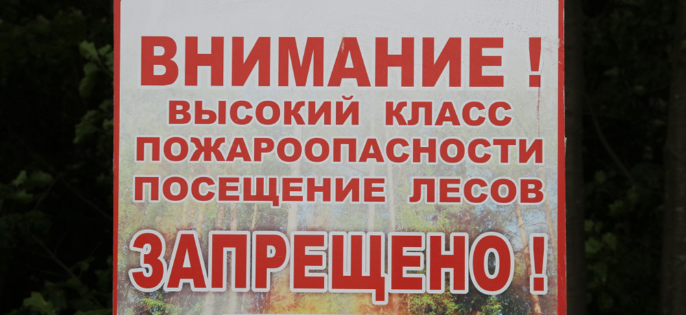 Запрет на посещение лесов и лесопарковых зон